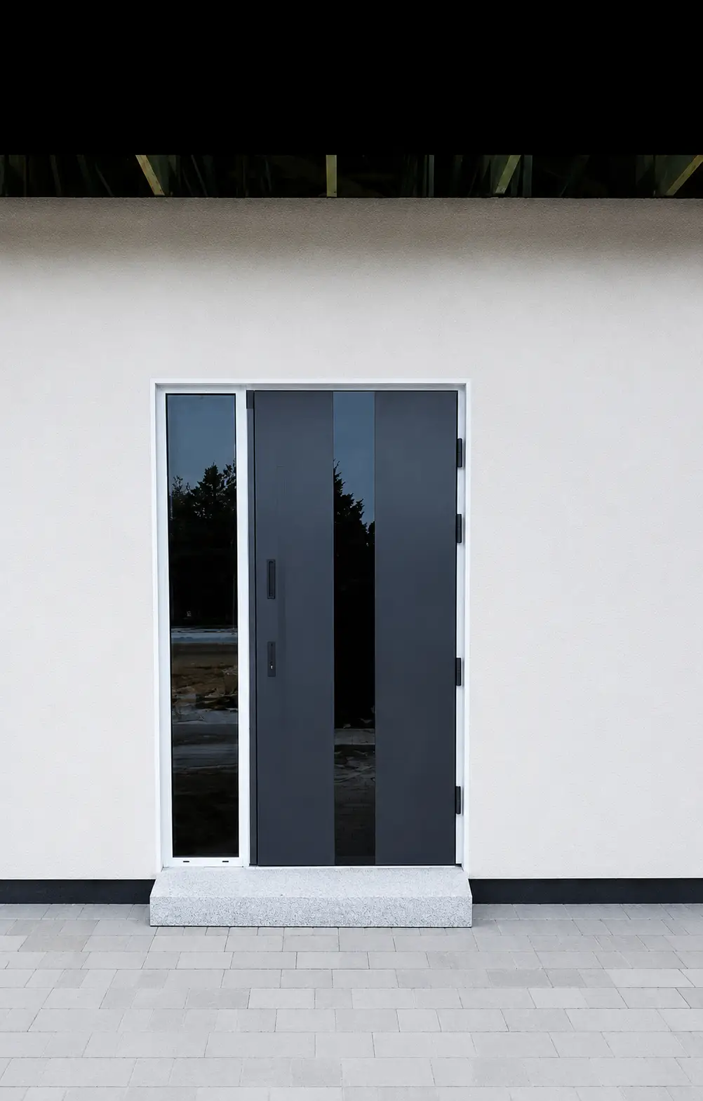 Drzwi wejściowe Wikęd — nowoczesny design, Płock